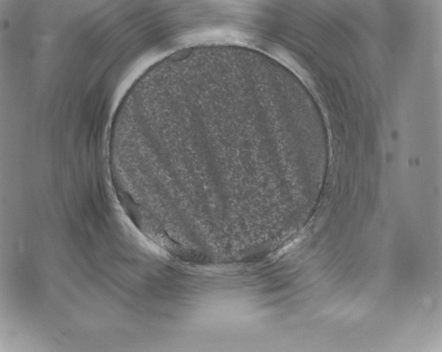 X0000072501392200608041430