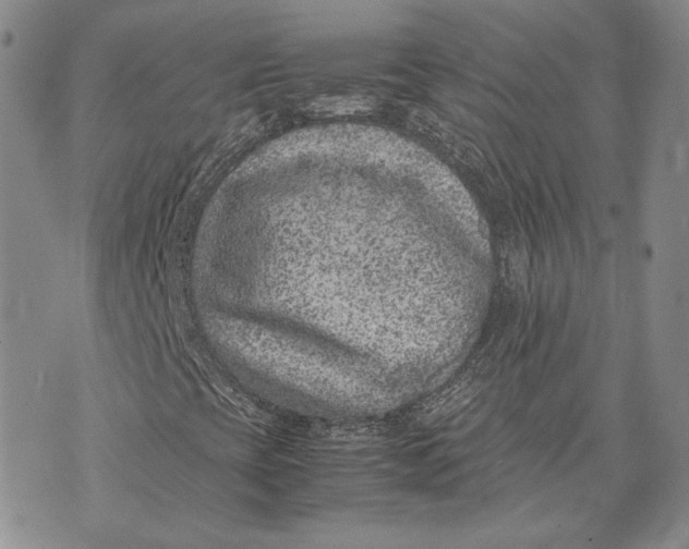 X0000072501393200608041429