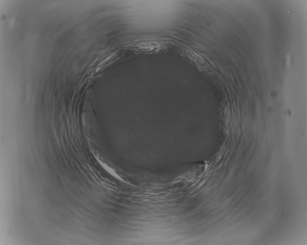 X0000072501394200608041429