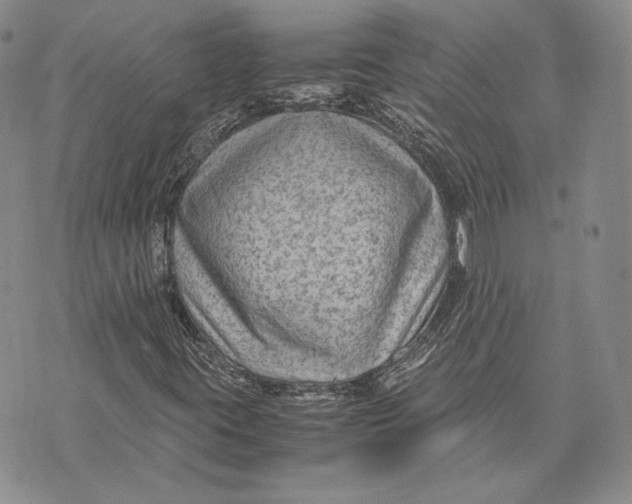 X0000072501395200608041429