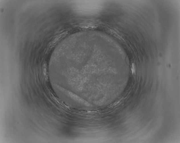 X0000072501396200608041429