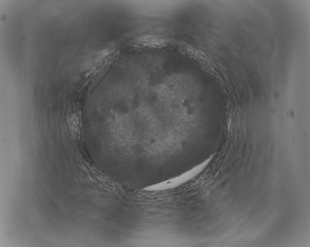 X0000072501397200608041429