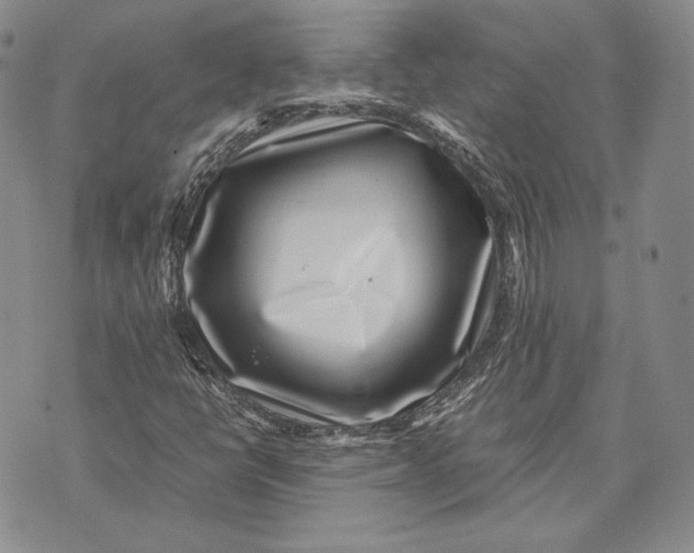 X0000072501398200608041429