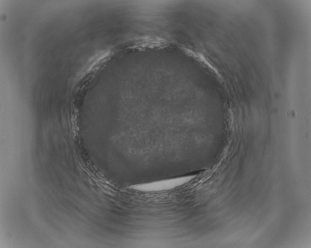 X0000072501399200608041429