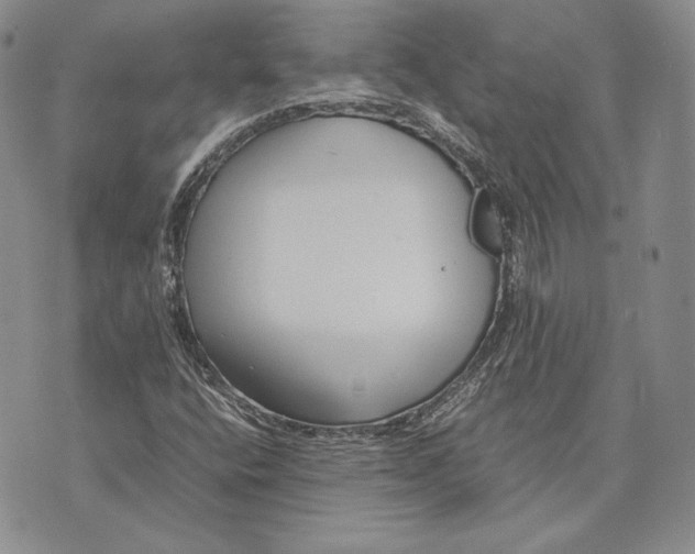 X0000072501400200608041429