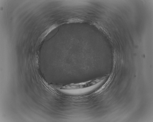 X0000072501401200608041429