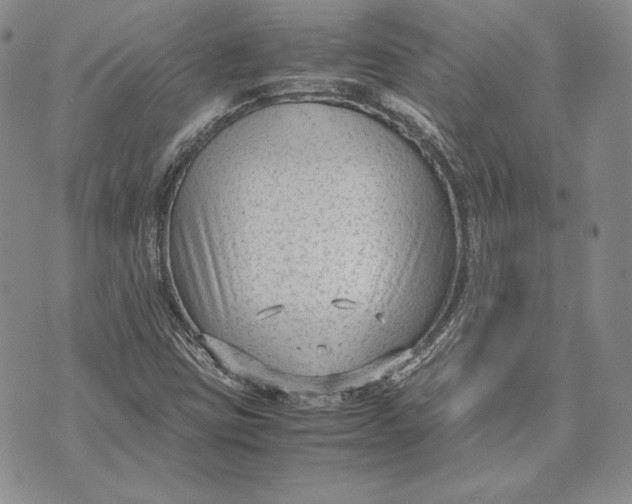 X0000072501403200608041429