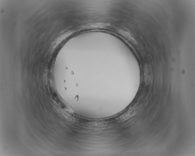 X0000072501404200608041429