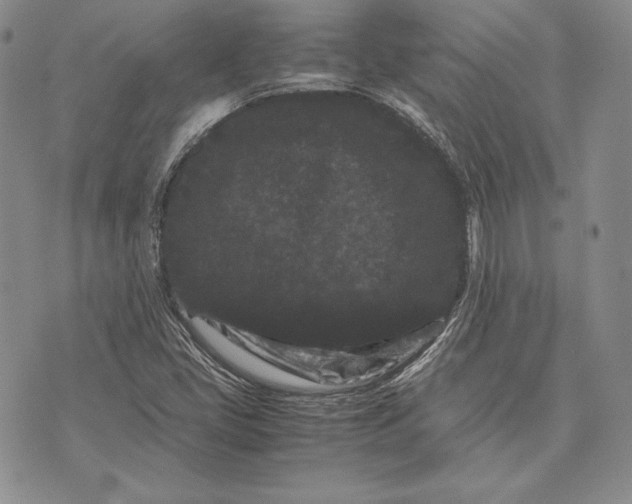 X0000072501405200608041429