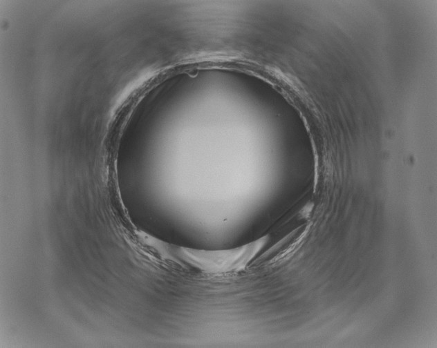 X0000072501406200608041429