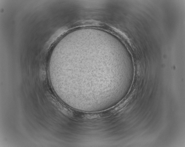 X0000072501407200608041429