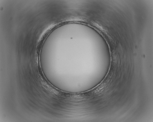 X0000072501408200608041429