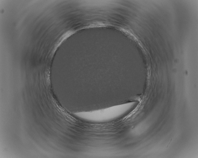 X0000072501409200608041429