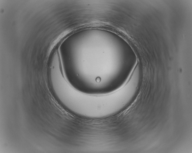 X0000072501410200608041430