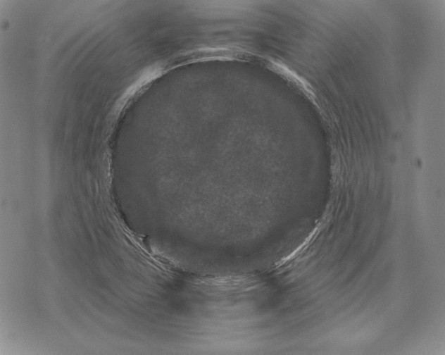 X0000072501411200608041430