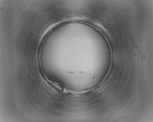 X0000072501412200608041430