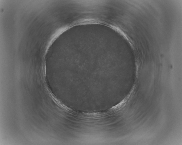 X0000072501413200608041430