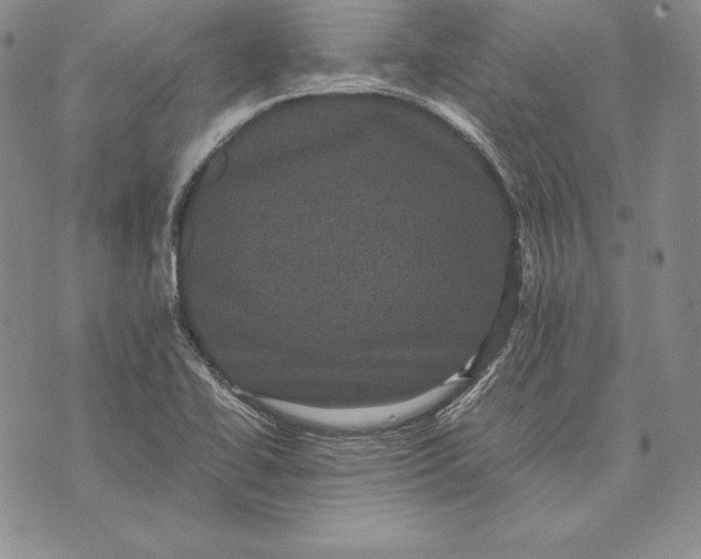 X0000072501414200608041430