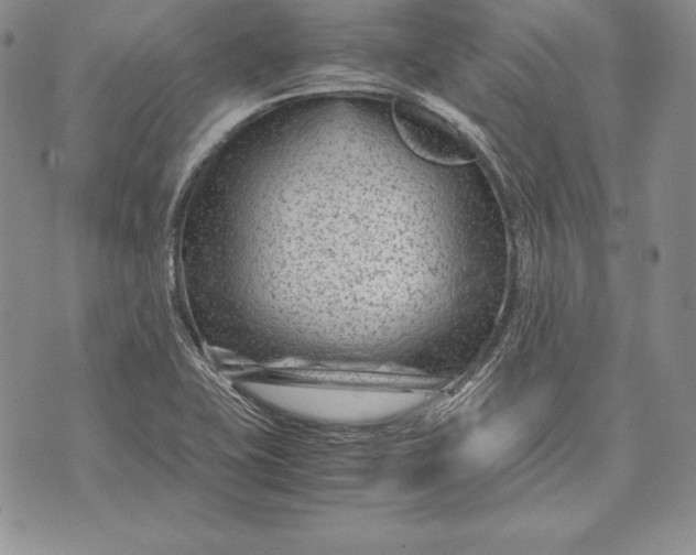 X0000072501415200608041430