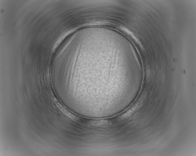 X0000072501417200608041430