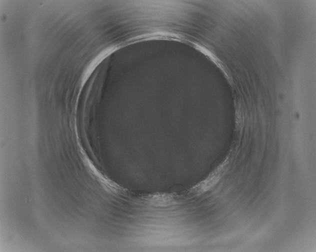 X0000072501418200608041430