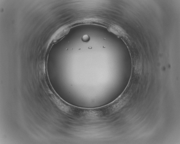 X0000072501420200608041430