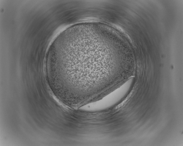 X0000072501421200608041430