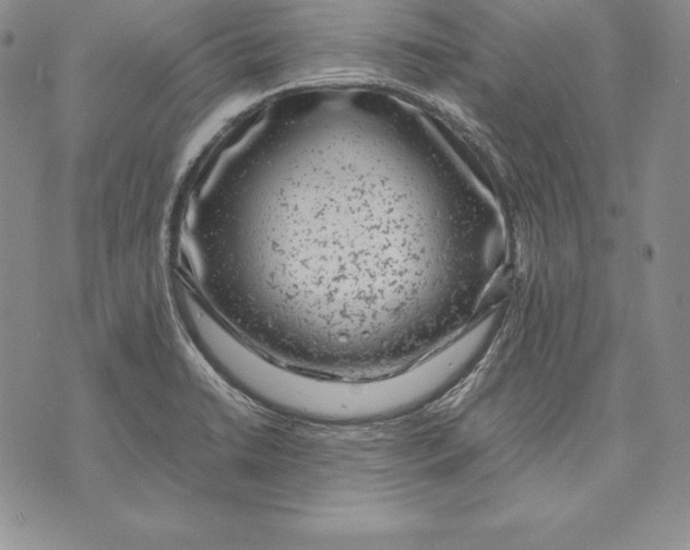 X0000072501422200608041430