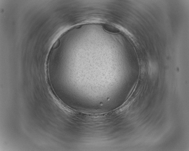 X0000072501423200608041430