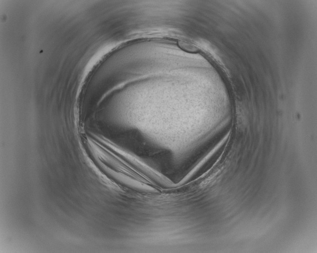 X0000072501424200608041430