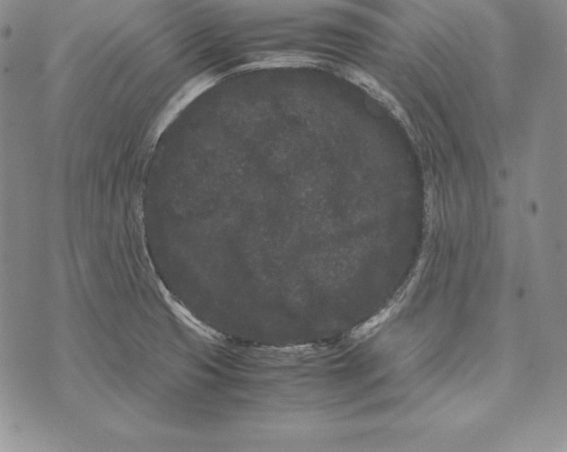 X0000072501425200608041430