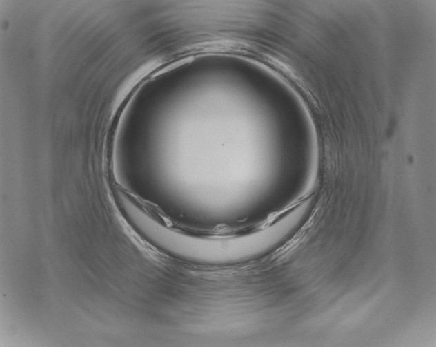 X0000072501426200608041430