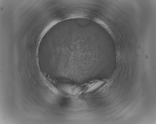 X0000072501427200608041430