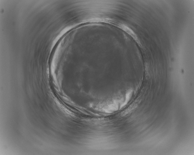 X0000072501428200608041430