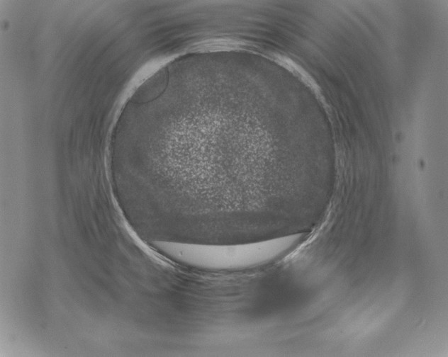 X0000072501429200608041430