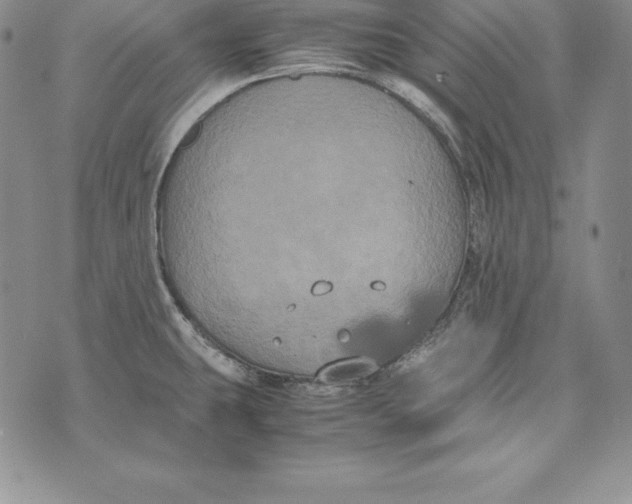 X0000072501431200608041430