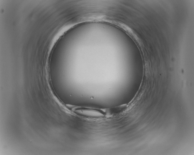 X0000072501432200608041430