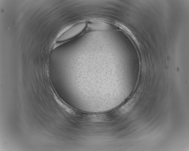 X0000072501433200608041430