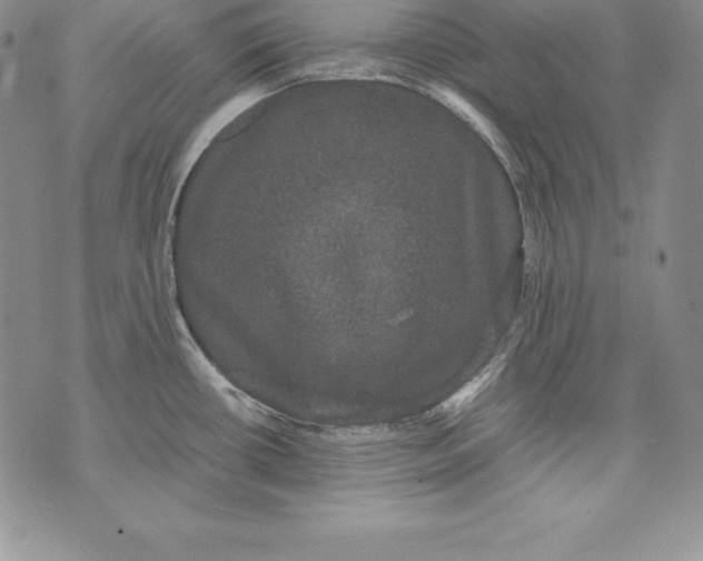 X0000072501434200608041430