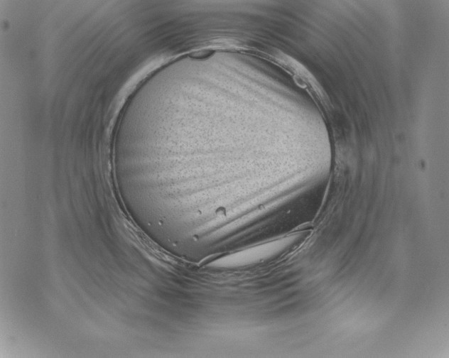 X0000072501435200608041430