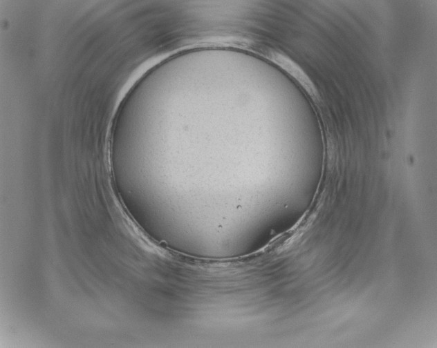 X0000072501436200608041430