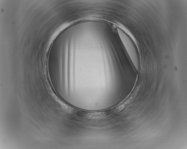 X0000072501437200608041430