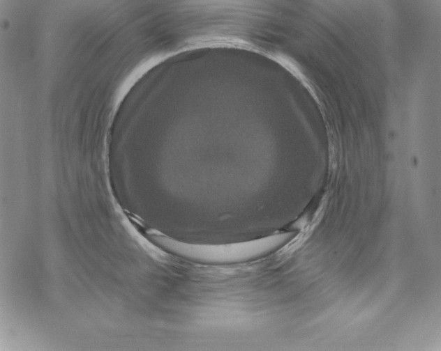 X0000072501438200608041430