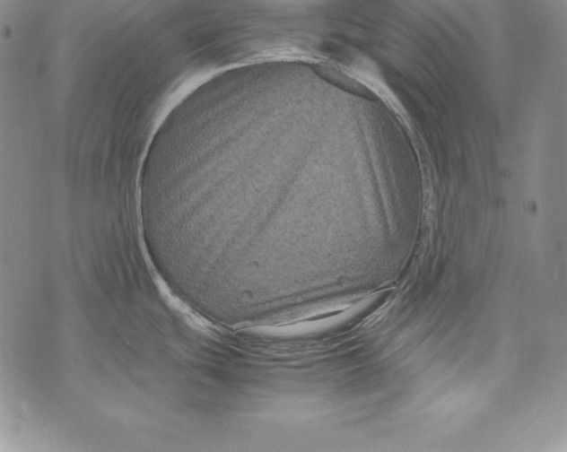 X0000072501439200608041430