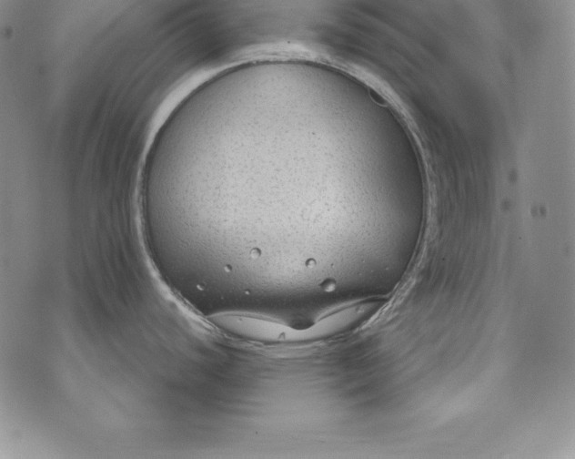 X0000072501440200608041430