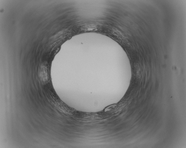 X0000072501442200608041429