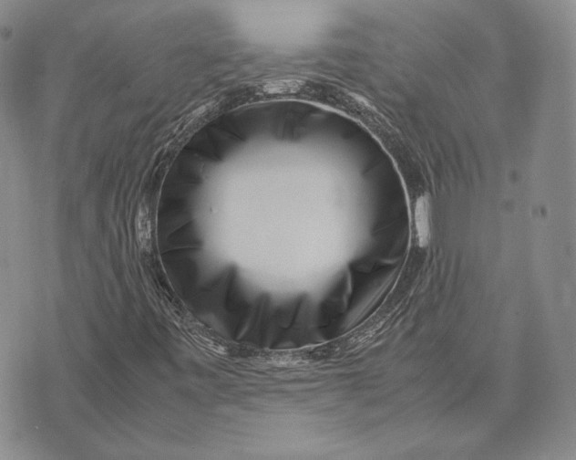 X0000072501443200608041429