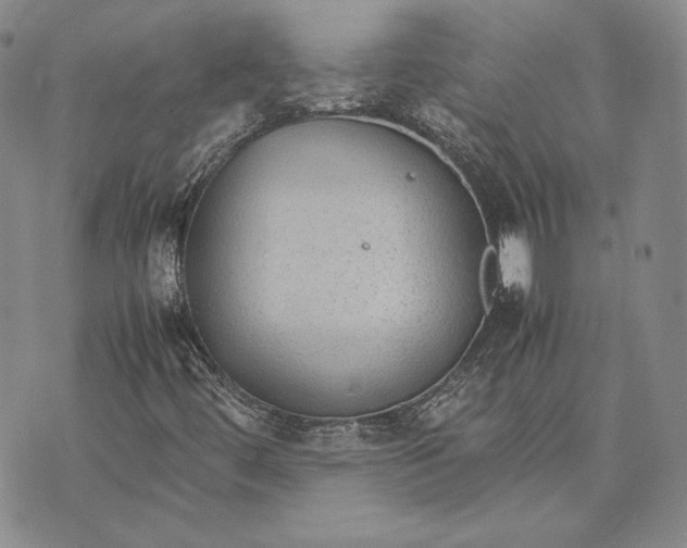 X0000072501444200608041429