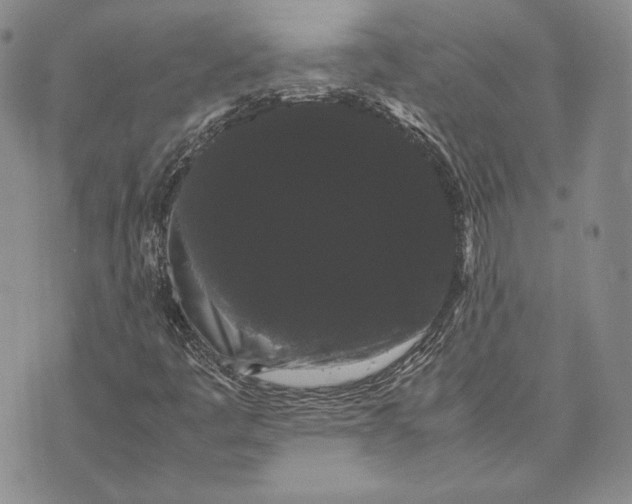 X0000072501445200608041429