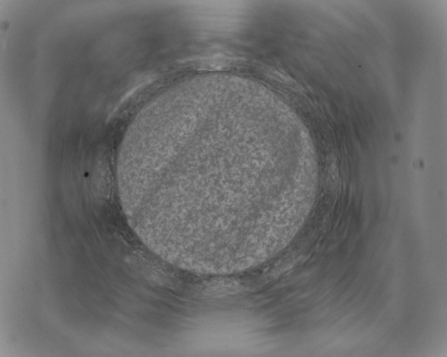 X0000072501446200608041429